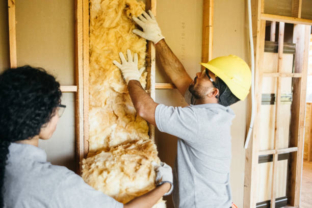 Best Commercial Insulation Services  in Andrews, TX