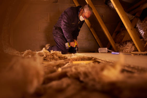 Best Batt and Roll Insulation  in Andrews, TX